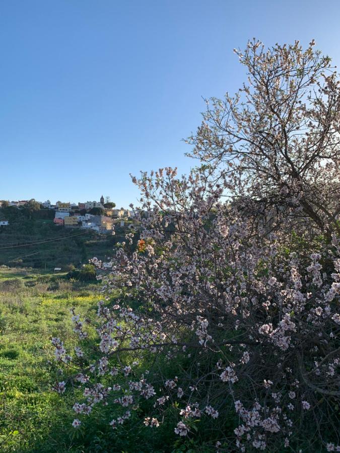El Sosiego, Der Rueckzugsort Santa Brígida Εξωτερικό φωτογραφία